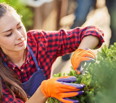 Tick Control Manchester CT