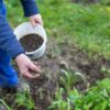 Granular Fertilization in Avon CT