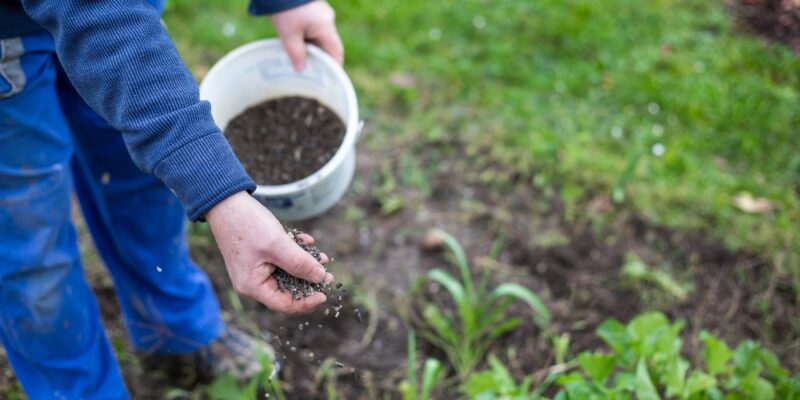 Granular Fertilization in Avon CT