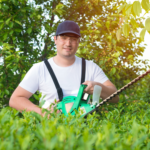 Lawn Treatment East Hartford CT Service | River Valley Lawn Care