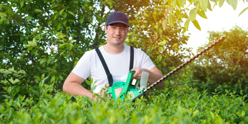 Lawn Treatment East Hartford CT Service | River Valley Lawn Care