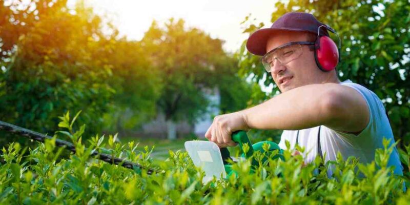 Lawn Gurb Pest control