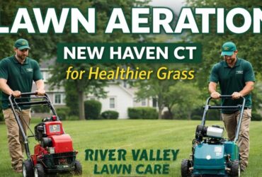Lawn Aeration New Haven CT for Healthier Grass | River Valley