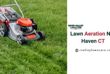 Lawn aeration New Haven CT