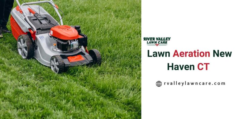 Lawn aeration New Haven CT