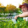 Lawn grub pest control Danbury CT