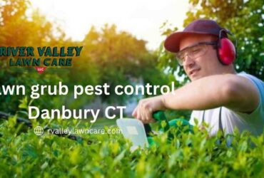 Lawn grub pest control Danbury CT