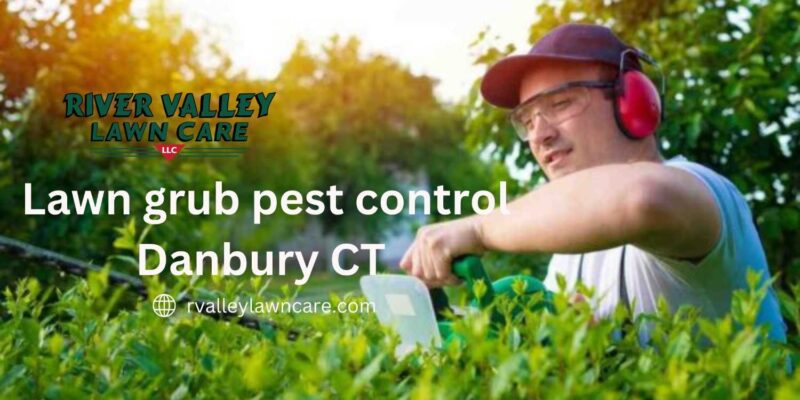 Lawn grub pest control Danbury CT