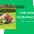 Tick control Glastonbury CT