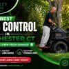 Best Grub Control in Manchester CT | Protect Your Lawn from Damage