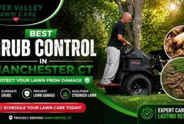 Best Grub Control in Manchester CT | Protect Your Lawn from Damage