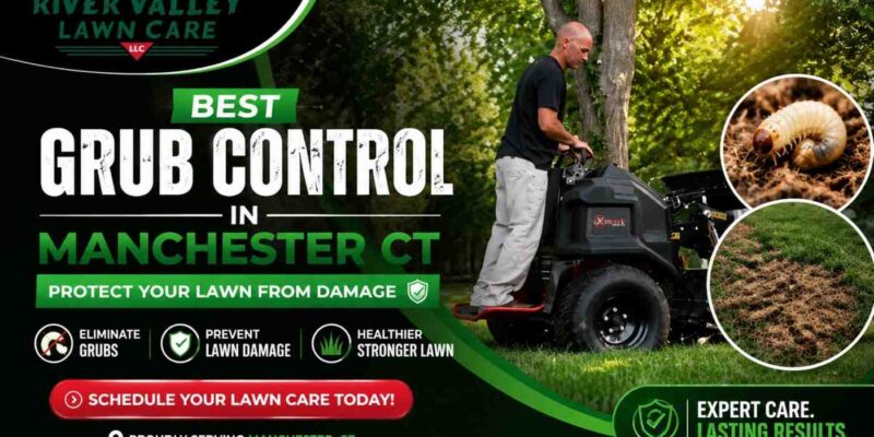 Best Grub Control in Manchester CT | Protect Your Lawn from Damage
