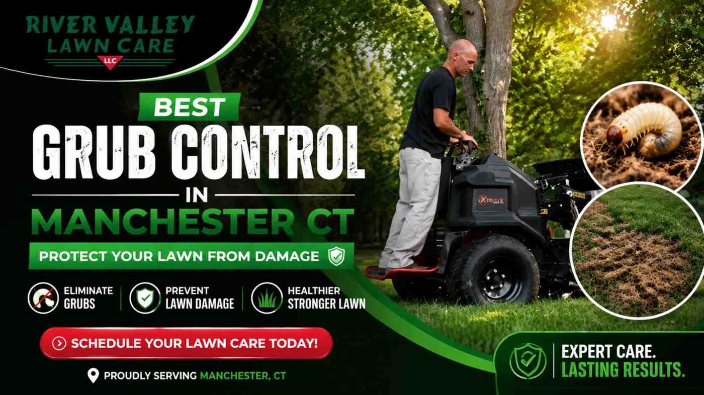 Best Grub Control in Manchester CT | Protect Your Lawn from Damage