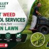 Expert Weed Control Services for a Healthy Vernon Lawn