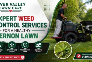 Expert Weed Control Services for a Healthy Vernon Lawn