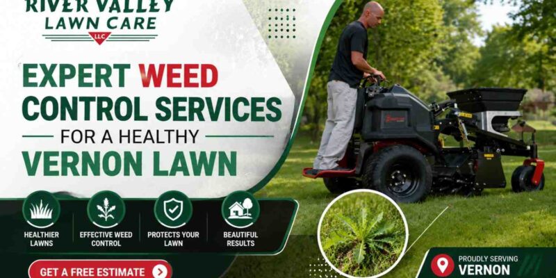 Expert Weed Control Services for a Healthy Vernon Lawn
