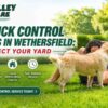 Fast Tick Control Services in Wethersfield: Protect Your Yard