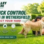 Fast Tick Control Services in Wethersfield: Protect Your Yard