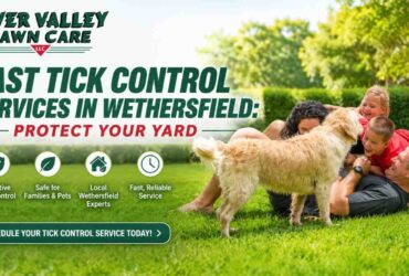 Fast Tick Control Services in Wethersfield: Protect Your Yard