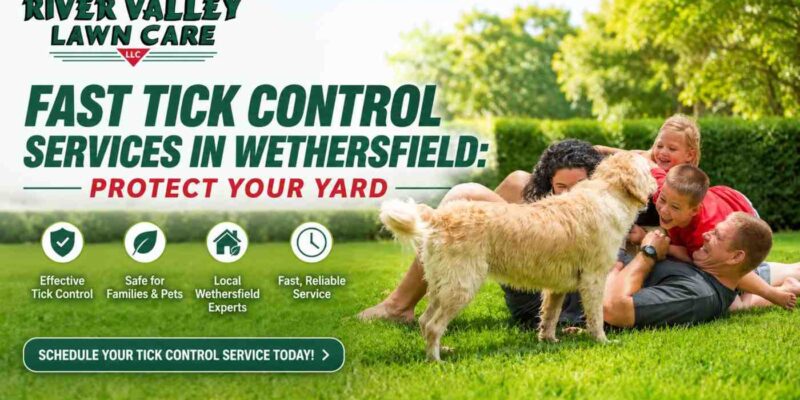 Fast Tick Control Services in Wethersfield: Protect Your Yard