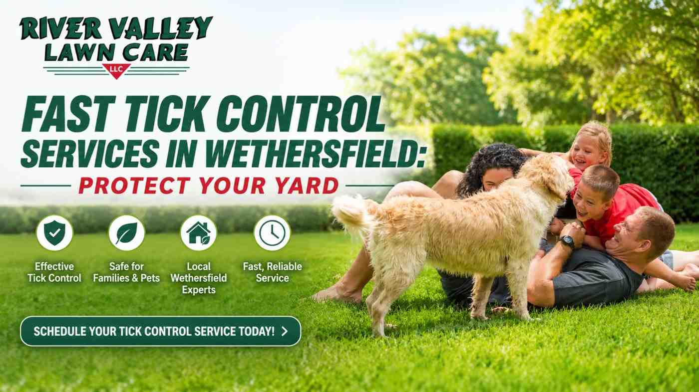 Fast Tick Control Services in Wethersfield: Protect Your Yard