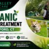 Organic lawn treatment in Hartford