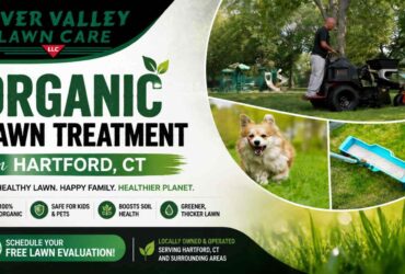 Organic lawn treatment in Hartford