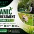 Organic lawn treatment in Hartford