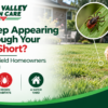Ticks in short Wethersfield lawn