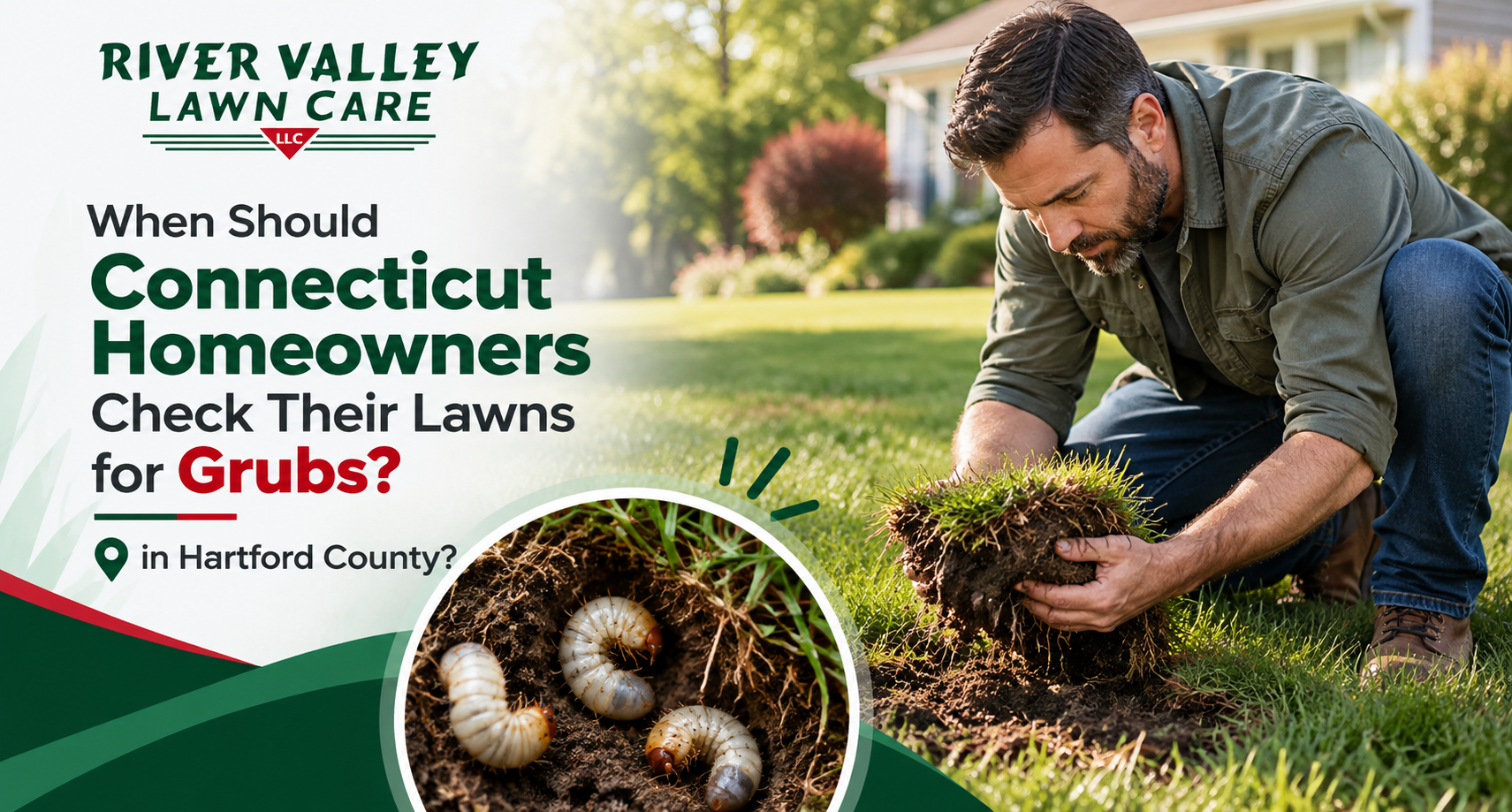 Lawn grub damage Hartford County